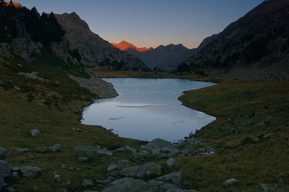 dilong - /\. . Zdjęcie 337489