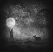 Dark January
