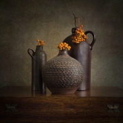 martwa natura z jarzębiną