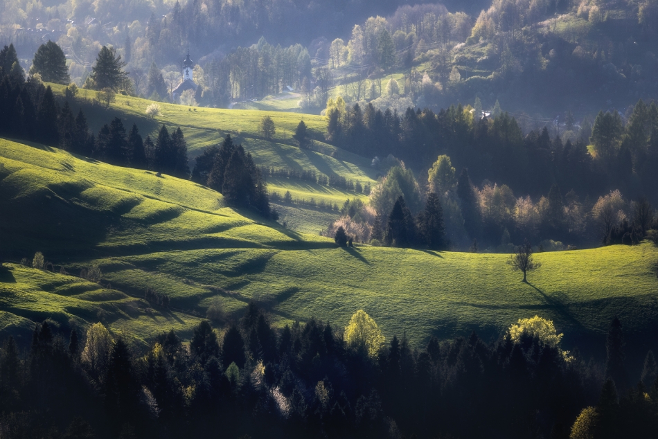 rsm - Pieniny. . Zdjęcie 332515