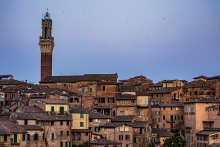 Siena