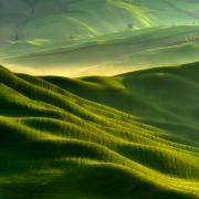 Green Undulation...