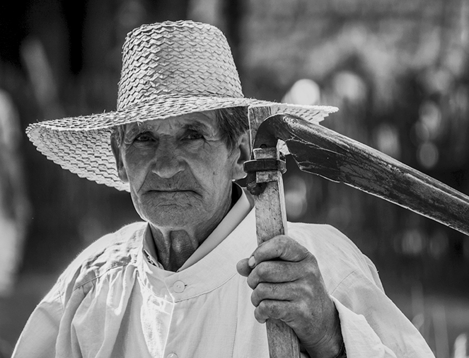 reamus - portret z kosą.... . Zdjęcie 317605