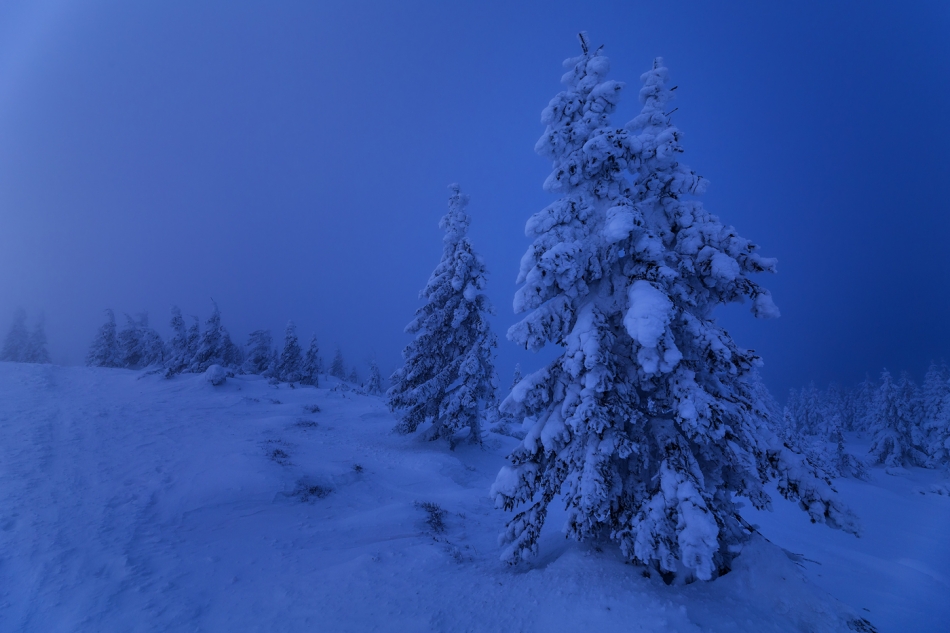 bonnieandclyde - Frozen Land.... . Zdjęcie 329484