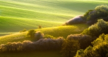 Podzamcze