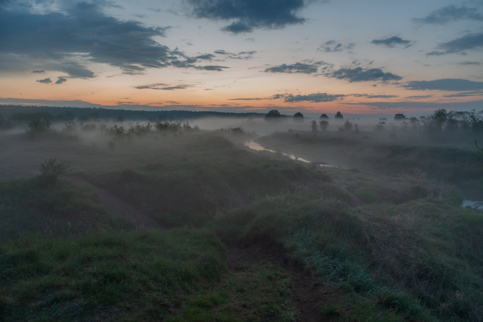 radson_foto - . . Zdjęcie 332759