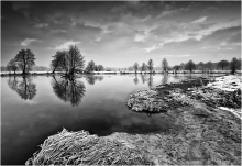Pilica B/W