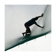 The Fall 