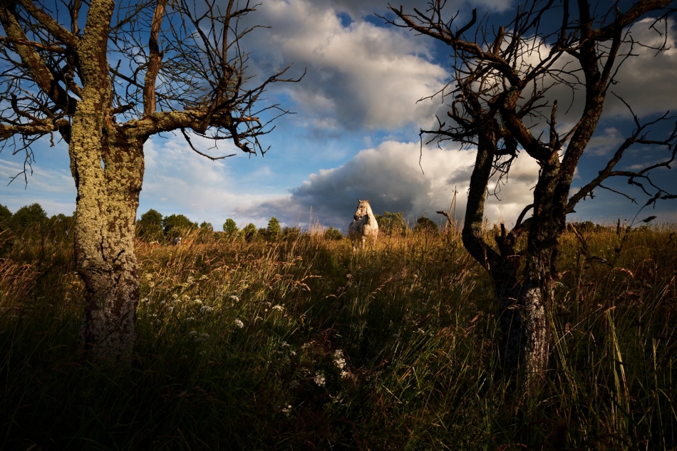 szymon_59 - . Beskid Niski, 2024. Zdjęcie 329540