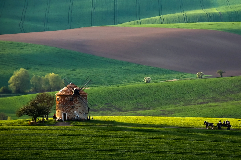 mariusz_je - . . Zdjęcie 323580