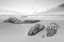 the shipwreck beach