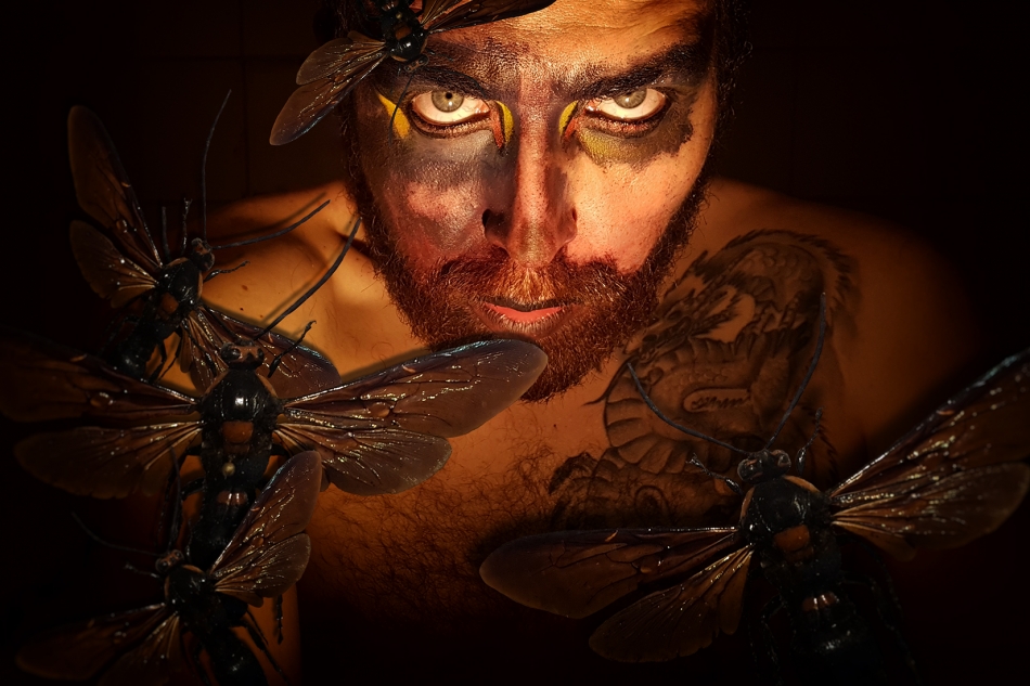 wildwhisper - Insekt . . Zdjęcie 331512
