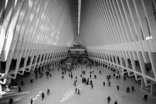 Oculus