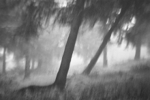 Noise...