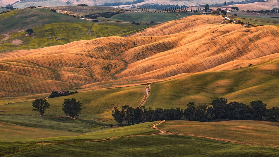 Pienza. . Zdjęcie 334590