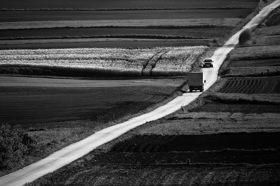 mariusz_je - . . Zdjęcie 317058