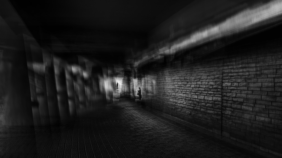 . . Zdjęcie 309069