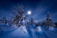 Winter Night...II