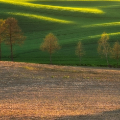 Wiosna