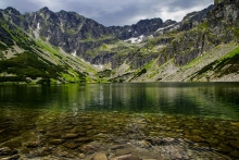 czarny staw
