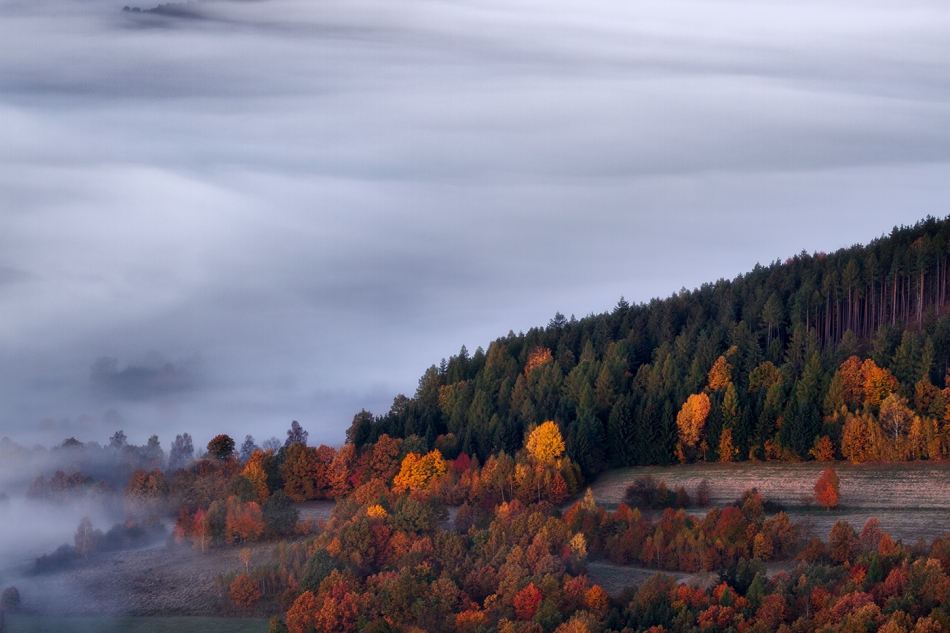 bonnieandclyde - Season of Mists.... . Zdjęcie 307054
