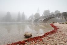 Bohinj