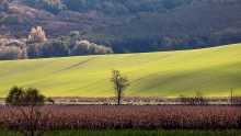 Październik