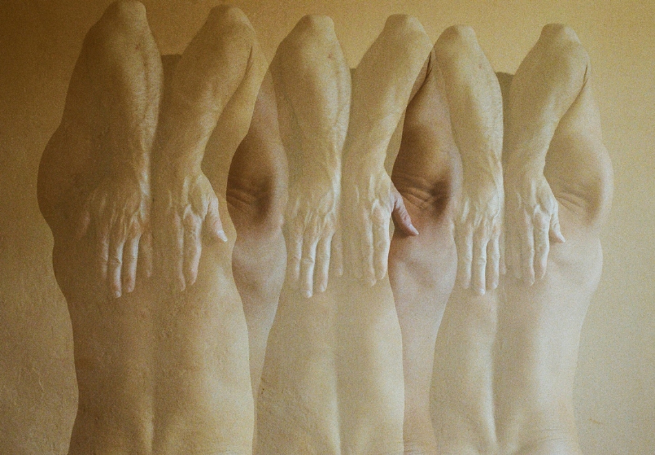 leo - kanon trzygłosowy. Eos300/Ultramax trzykrotna ekspozycja. Zdjęcie 279267