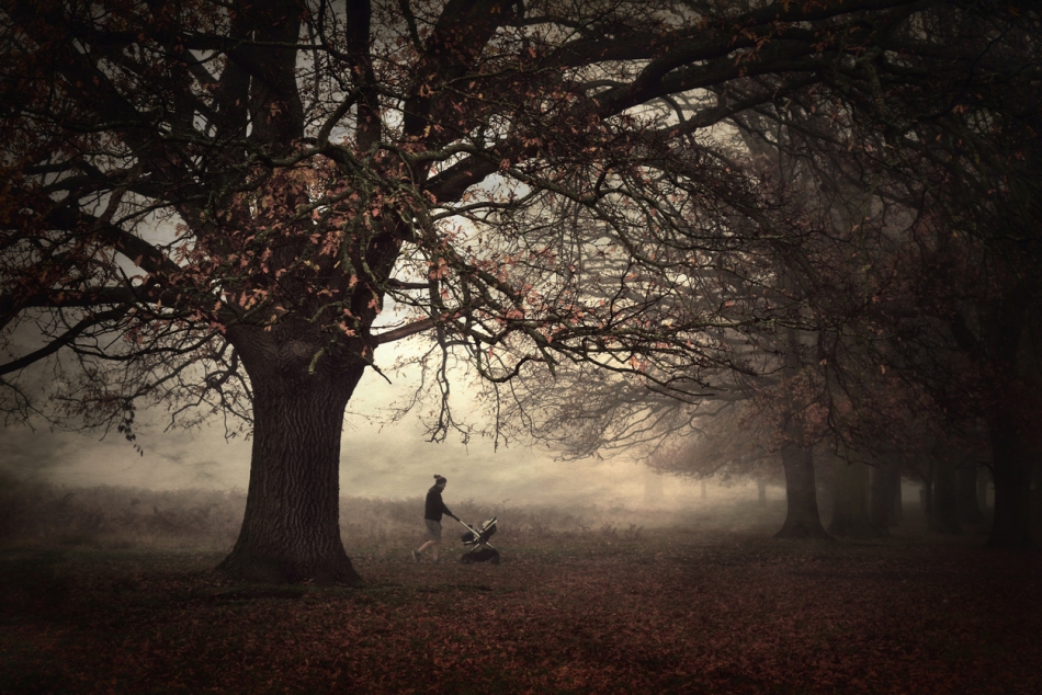 robin74r - Dark Side of the Park.... . Zdjęcie 315419