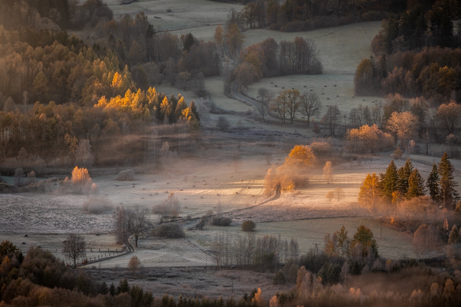 bonnieandclyde - In The Glow of Wonderful Morning Light.... . Zdjęcie 321855