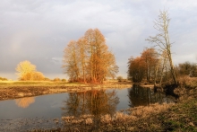 Przedwiośnie