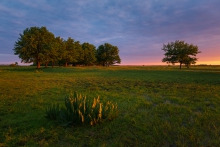 Biebrzański Park Narodowy