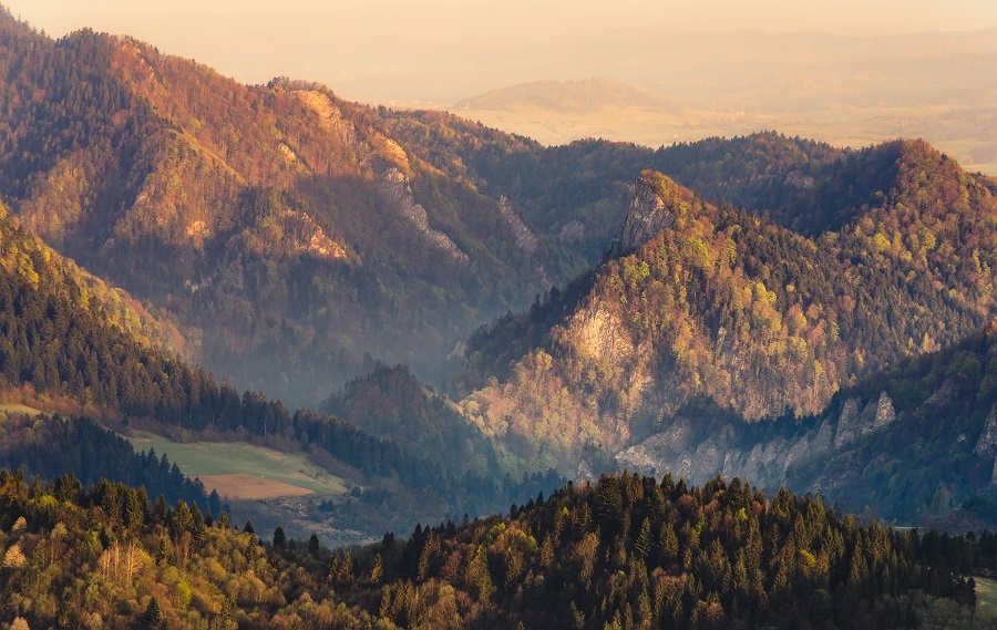 piotrekcoleman - Wiosenne Pieniny . . Zdjęcie 142088