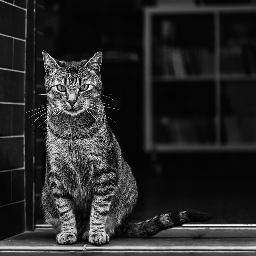 akrims - . . Zdjęcie 183394