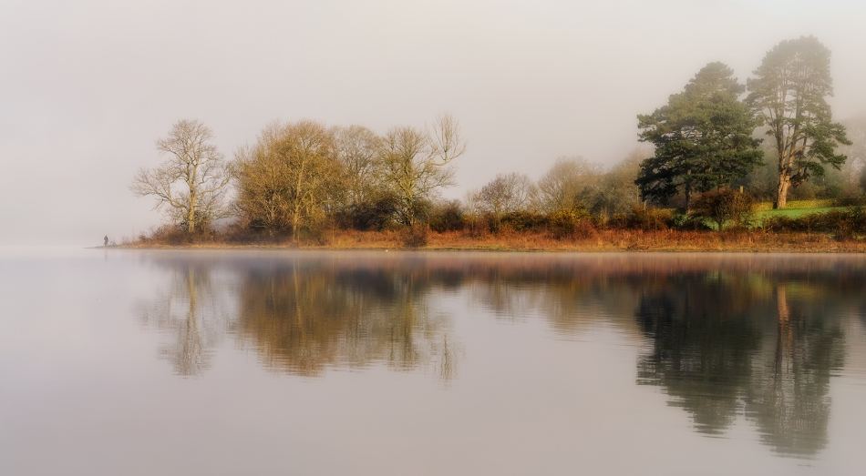 Foggy morning. FS. Zdjęcie 209459