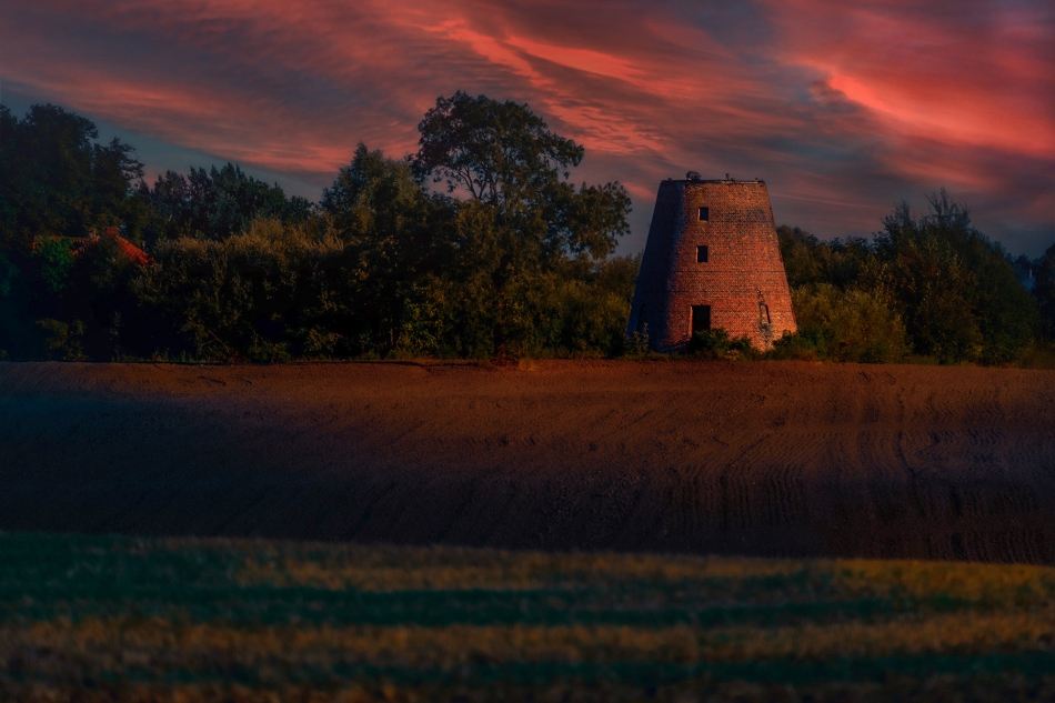 fotoel - Staryb holender. . Zdjęcie 313247