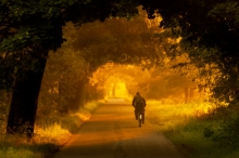 Long,long way home.