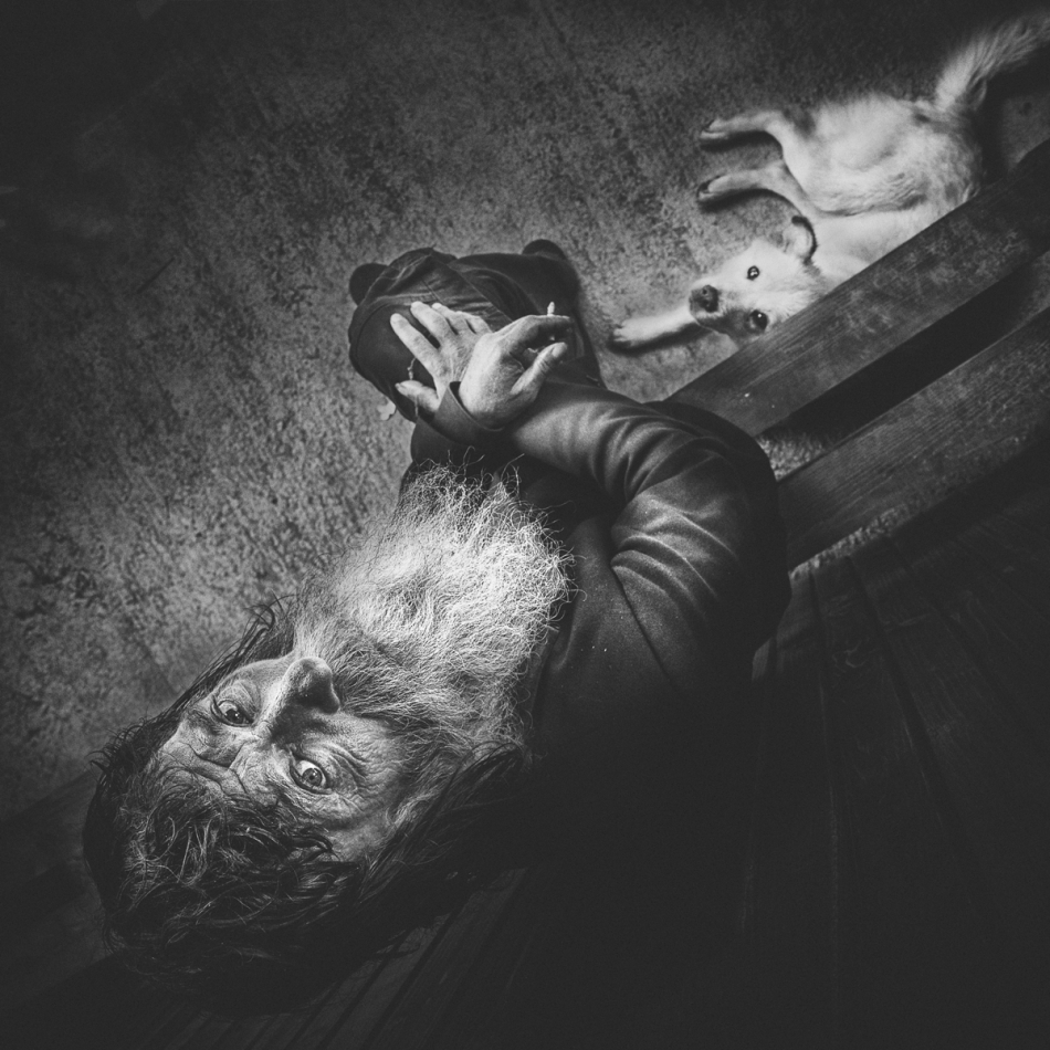 todortanev - . . Zdjęcie 227469