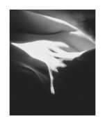 Intimate Landscape