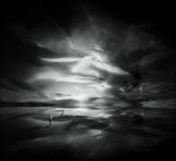 Dark Paradise