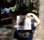 portret