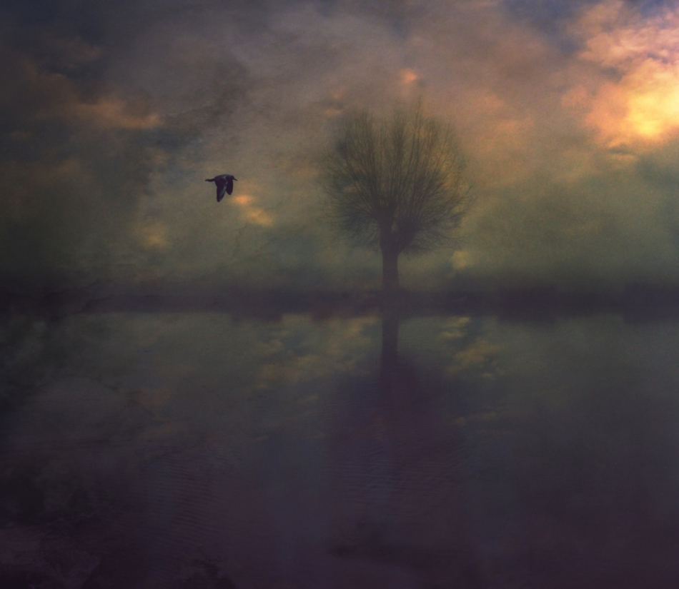 robin74r - Autumn Thoughts.... . Zdjęcie 319062