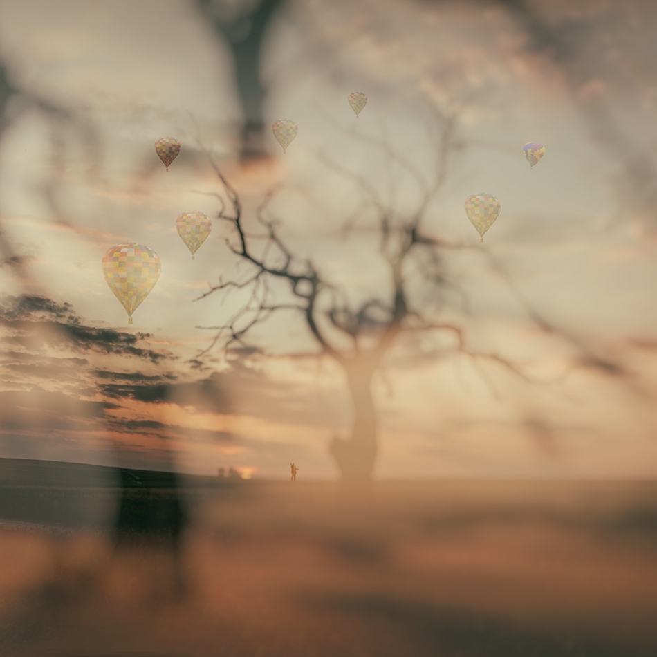 akrims - . . Zdjęcie 248080