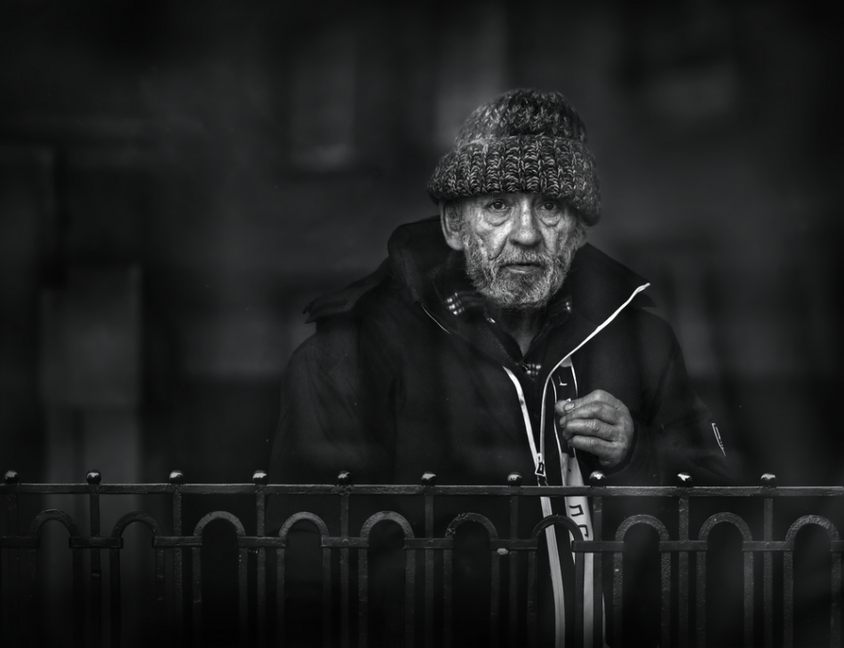 jagger - .. . Zdjęcie 322467