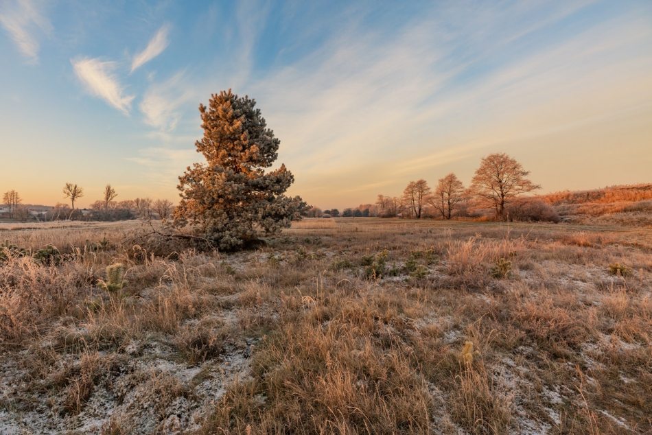 radson_foto - . . Zdjęcie 309103