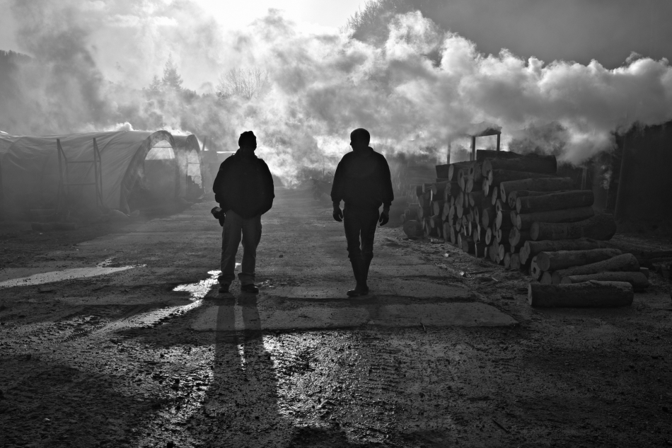scots - dymne small talk. Bieszczady. Zdjęcie 326200