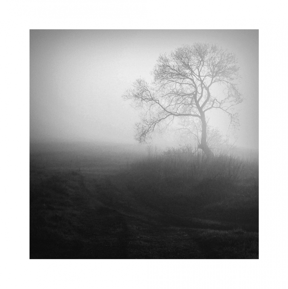 keytoo_ - . . Zdjęcie 332258