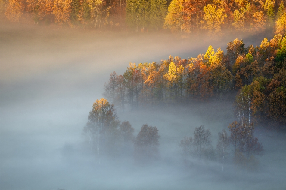 bonnieandclyde - For the Love of Autumn.... . Zdjęcie 327426