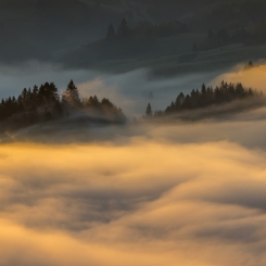 Pieniny