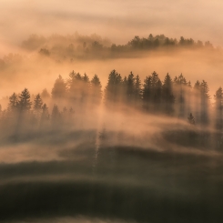 The Poetry of Light ...